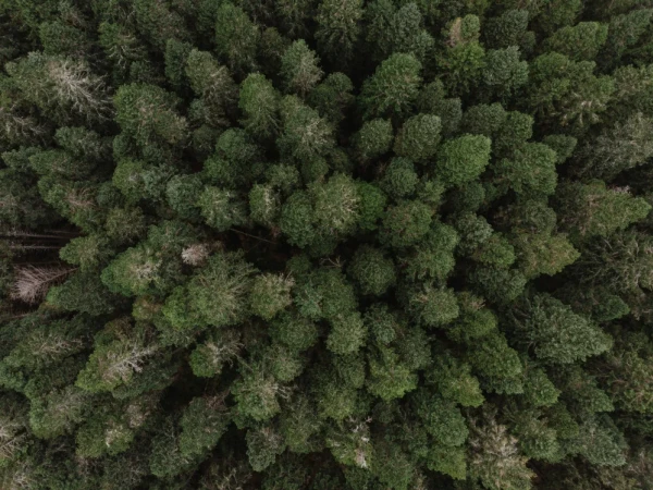 robert bye EKLr56NaJDw unsplash  FitWzEwMDAsNzUwXQ.jpg