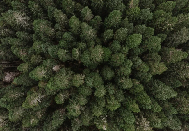 robert bye EKLr56NaJDw unsplash  FitWzEwMDAsNzUwXQ.jpg